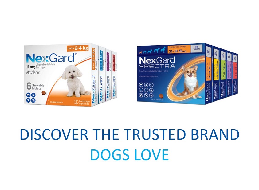 Dog Ticks NexGard®